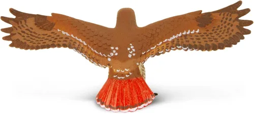 Vista 6 de Safari Ltd. Figura de halcón de cola roja, figura detallada de plástico de 5.75 pulgadas con envergadura, divertido juguete educativo para niños