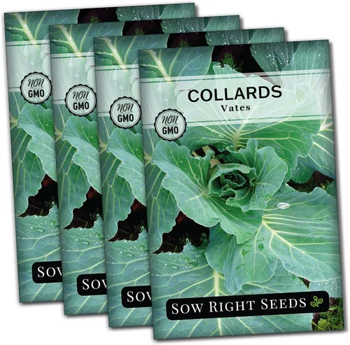 Vista 8 de Sow Right Seeds - Semillas de col de Vates para plantar - Paquete de reliquia sin OMG con instrucciones para plantar un huerto casero - Verduras