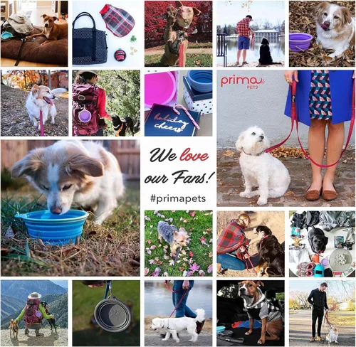 Vista 9 de Prima Pet Plegable Silicona Food & agua Tazón con clip de viaje para perro y gato, tamaños disponibles: pequeño (1,5 tazas) & Grande (5 tazas), Agua