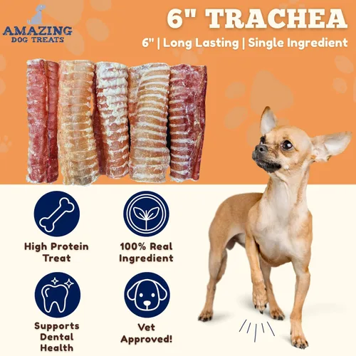 Vista 2 de Amazing Dog Treats - Masticables para perros con tráquea de carne de res de 6 pulgadas (5 piezas - 8 onzas) - Golosinas para perros de tráquea - SIN