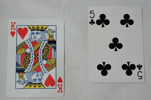 Vista 4 de Par de tarjetas de cuña de bicicleta - Shimmed - 2 tarjetas - Magia de cerca
