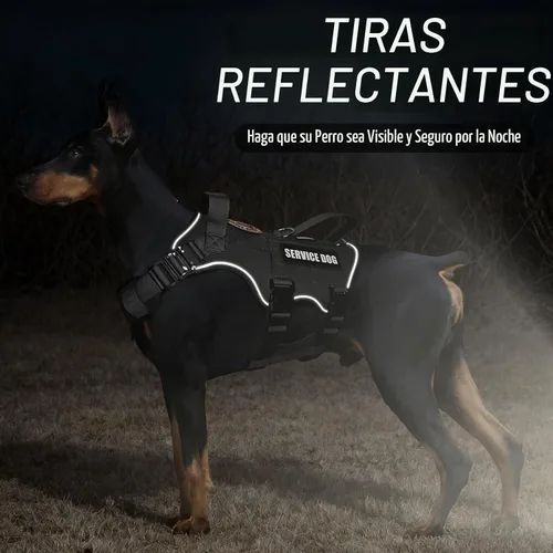 Vista 8 de Juego de chaleco y correa táctico para perro de servicio, arnés resistente con hebillas de metal para perros de tamaño mediano, chaleco ajustable