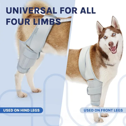 Vista 7 de Rodillera para perro para desgarro del ligamento cruzado anterior para lesiones de ligamentos y alivio del dolor en las articulaciones, tamaño: L