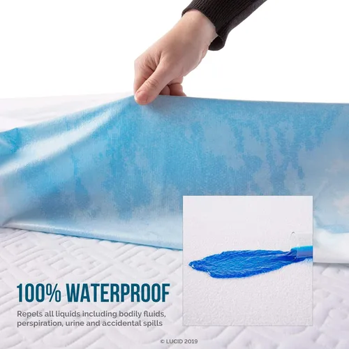 Vista 3 de Lucid Protector
