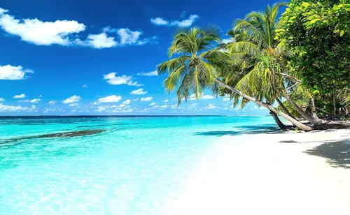 Vista 2 de Reyhui - Papel tapiz con imagen de palmera, paraíso tropical, playa, paisaje marino, para paredes de dormitorio, sala de estar, fondo de televisión