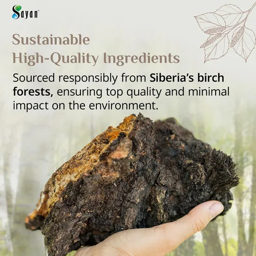 Vista 6 de Sayan Siberian Pure - Polvo de chaga grueso crudo de 4 onzas / 3.99 oz – Té súper antioxidante cosechado en bosque silvestre de primera calidad