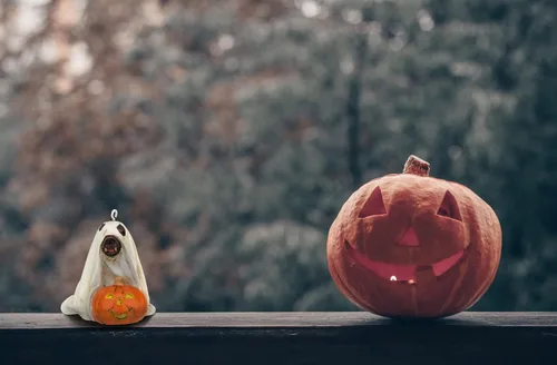 Vista 8 de Tree Buddees Lindo perro vestido como fantasma con calabaza adorno de Halloween