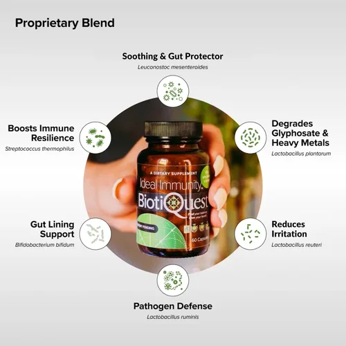 Vista 3 de BiotiQuest Probióticos de inmunidad ideales para equilibrar tu intestino y desarrollar resistencia del sistema inmunológico, 12 mil millones de UFC