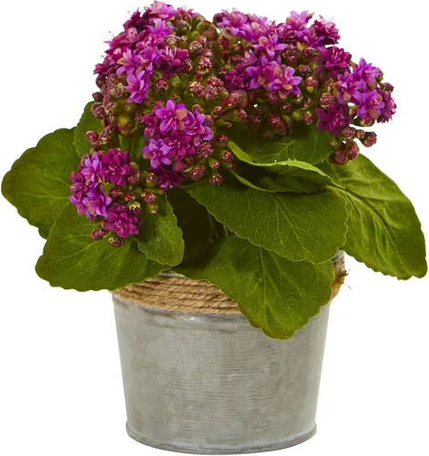 Vista 3 de Nearly Natural Arreglos artificiales Kalanchoe (juego de 3)