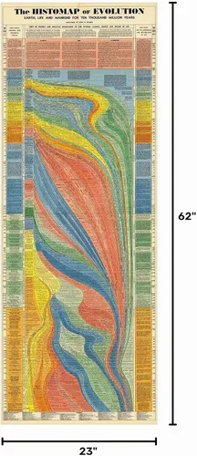 Vista 9 de Histomap of Evolution - Regalos para los amantes de la historia - Póster de aula - Mapa de investigación científica geología genética