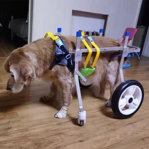 Vista 2 de Dog Wheelchair for Back Legs – Adjustable Pet Mobility Cart with Lightweight Aluminum Frame, EVA Wheels & Comfort Harness – Support for Small