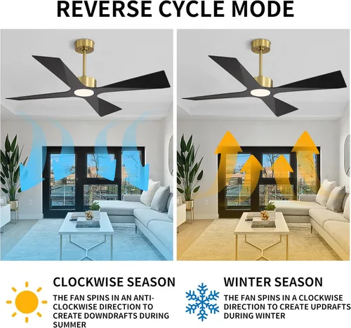 Vista 7 de WINGBO Ventilador de techo para exteriores de 64 pulgadas con clasificación húmeda, 4 cuchillas de plástico ABS, motor CC reversible, control remoto