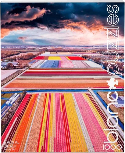 Vista 5 de Buffalo Games - Infinity Fields - Rompecabezas de 1000 piezas para adultos