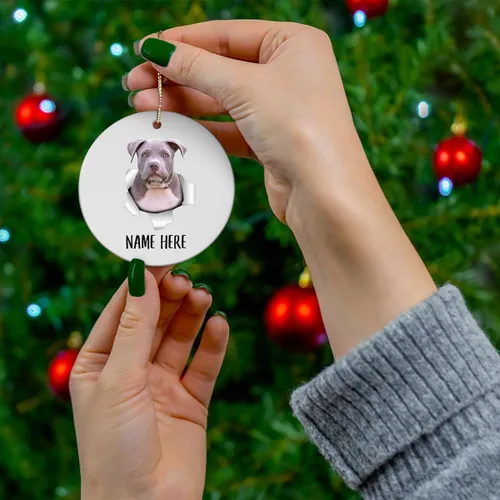 Vista 3 de Personalized Name American Bully Puppy Sitting Christmas Tree Ornaments Circle Ceramic Decorations Gifts for Dog Lovers Owners