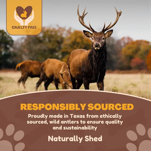 Vista 5 de WhiteTail Naturals - Cuernos de ciervo para perros pequeños (paquete de 12) cuernos masticables naturales para cachorros y pequeños masticadores