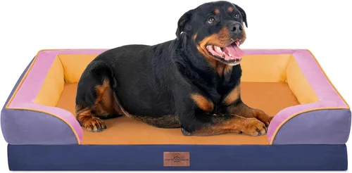 Vista 59 de Comfort Expression - Cama ortopédica para perros medianos, 28 x 19 pulgadas, cama impermeable y de apoyo de espuma con cojines removibles, sofá