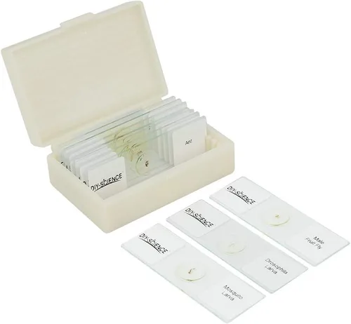Vista 2 de Juego de diapositivas de microscopio de insectos enteros preparados, 10 piezas para niños, estudiantes, clase de biología, regalo educativo