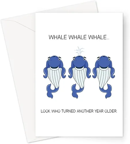 Vista 16 de Funny Animal Themed Birthday Cards Quirky Illustrated Animal Themed Birthday Cards For Friends and Family (Let's Get Slothed Birthday Card)