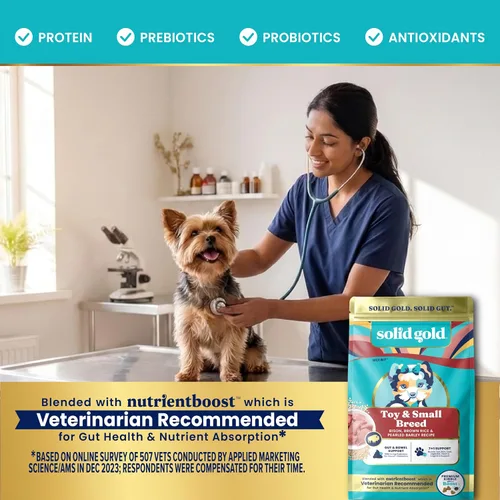 Vista 6 de Solid Gold Toy & Small Breed Dog Food Dry Small Bites - Alimento para perros de grano entero de bisonte - Croquetas saludables para perros con alta