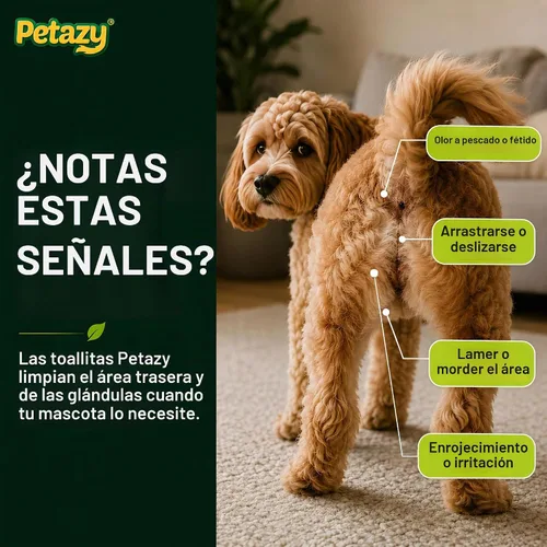 Vista 2 de Petazy Toallitas para mascotas XL para perros y gatos, sin perfume, 72