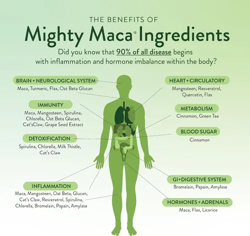 Vista 6 de VIDAPURA Mighty Maca Plus Mango por la Dra. Anna Cabeca – Superfood Greens Polvo para energía diaria y vitalidad – Sin azúcar, vegano, alcalino