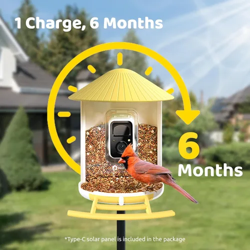 Vista 7 de NETVUE by Birdfy - Alimentador inteligente para pájaros con cámara AI 2K alimentado por energía solar, observación inalámbrica de aves silvestres