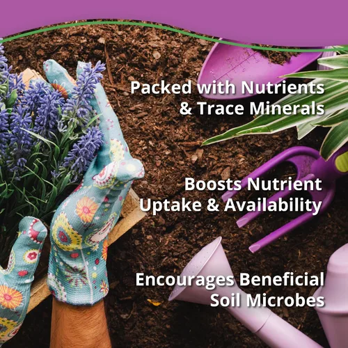 Vista 5 de Kelp Bliss (10 libras) - Fertilizante orgánico de harina de algas para plantas, suelo de jardín, flores, verduras y césped, fertilizante orgánico