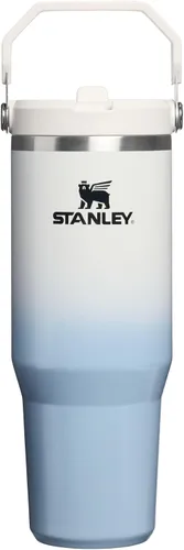 Vista 119 de STANLEY IceFlow 2.0 - Vaso con pajita, 14 onzas, color verde primavera