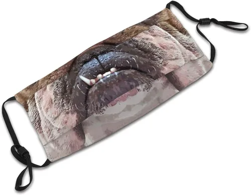 Vista 6 de goincrond Divertida máscara facial de animales lavable de tela transpirable reutilizable con filtros para adultos mujeres hombres y jóvenes