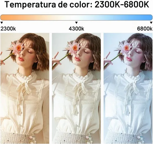 Vista 3 de GVM - Luz de video LED de 480 con trípode, iluminación de video LED regulable de 2300 K-6800 K con control de aplicación, luz continua de fotografía