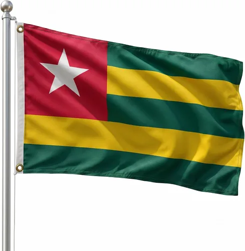 Vista 95 de DMSE - Bandera nacional beninesa beninesa de la República de África Occidental, 2 x 3 pies, 100 % poliéster, 100 % poliéster, resistente a los rayos