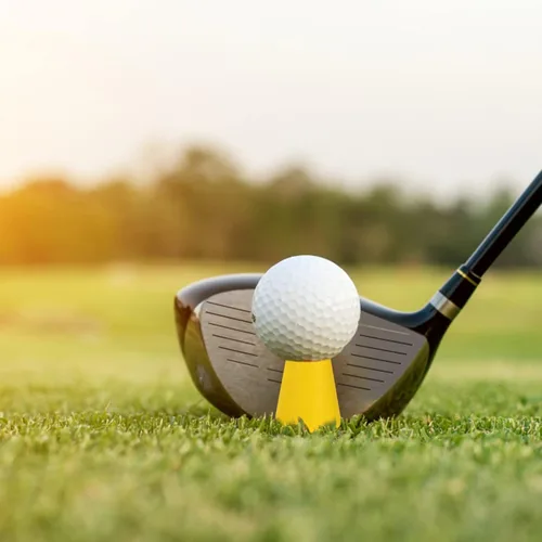 Vista 4 de Angoily 24 piezas de accesorios de práctica de pelotas de golf, suministros de pelotas de golf, clavos de práctica de pelota de golf, clavos