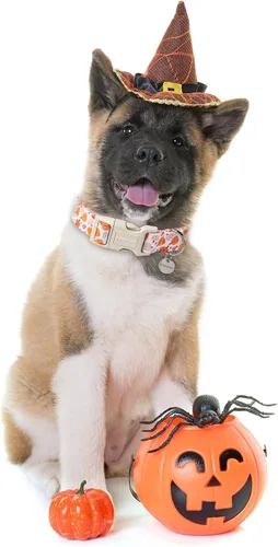 Vista 91 de DOGWONG Collar para perro de San Valentín, collar ajustable de algodón con corazón de caramelo azul, perfecto para perros pequeños a medianos