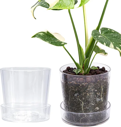 Vista 23 de Maceta Phoenix Vine de 3.5 pulgadas de acrílico transparente con bandeja, maceta para orquídeas con agujeros de drenaje, platillo profundo