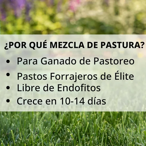Vista 5 de Jonathan Green Mezcla de pasto - 25 lb