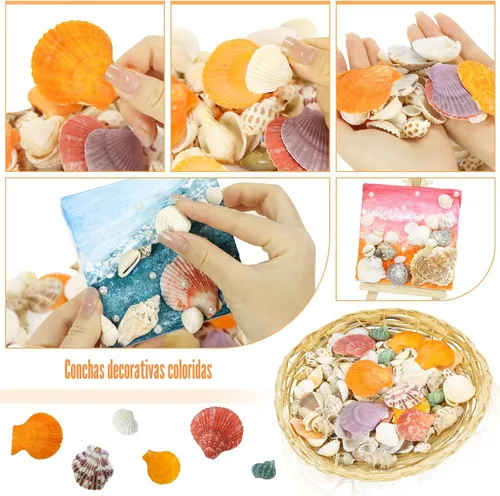 Vista 2 de WEOXPR Conchas marinas mixtas, más de 100 piezas de conchas de playa, estrellas de mar, varias tallas de conchas marinas del océano para rellenar 11
