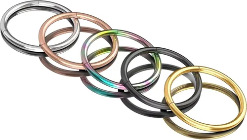 Vista 4 de Nose Rings Hoops for Women Men 14G 16G 18G 20G Septum Jewelry 316L Surgical Steel Hinged Segment Ring Body Piercing Nose Hoop Lip Rings Nose Helix
