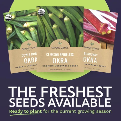 Vista 3 de Paquete variado de semillas orgánicas de Okra Lovers – 3 paquetes individuales – Temporada 2026 – Cowhorn, Burgundy y Clemson Spineless para plantar
