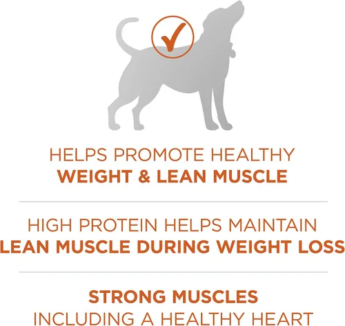 Vista 5 de Purina ONE SmartBlend Natural Peso saludable, fórmula para adulto, alimentos secos para perros y comida húmeda para perros