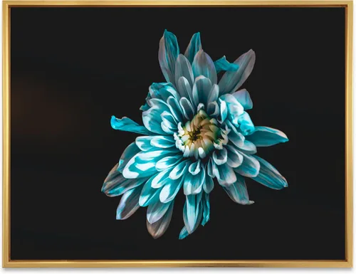 Vista 26 de DesignQ Lienzo enmarcado tradicional con flores silvestres azules con hojas verdes II