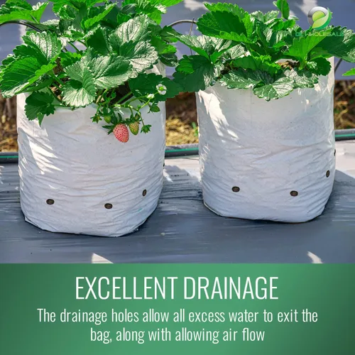 Vista 5 de DL Wholesale Grow 1 bolsas de cultivo de plantas para plantar, bolsa de plástico para plantas, macetas de vivero para flores, verduras, hierbas, 1/2