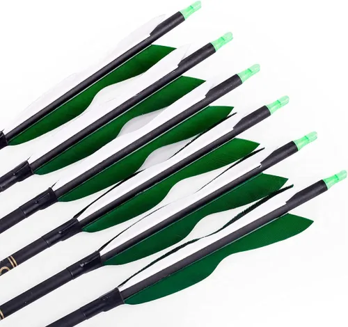 Vista 3 de LWANO Flechas de caza de carbono de 31 pulgadas, flechas de práctica con plumas de pavo de 5 pulgadas, 500 para arco recurvo y arco compuesto