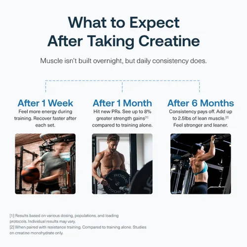 Vista 4 de Transparent Labs Creatine HMB - Monohidrato de creatina en polvo con HMB para crecimiento muscular, mayor fuerza, mayor producción de energía