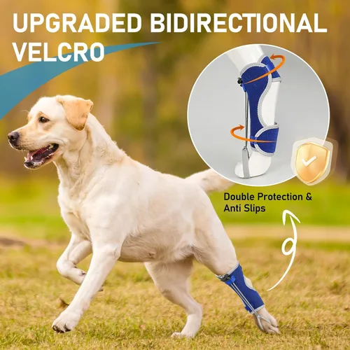 Vista 3 de Supet Envoltura para nudillos para perros, cómoda férula para pies y Azul