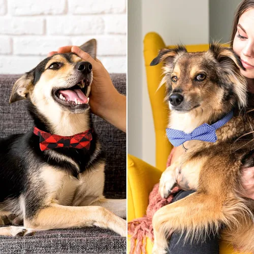 Vista 6 de Segarty Pajaritas para perros, 30 pajaritas de aseo para perros con cuello ajustable, corbatines para cachorros, a granel para mascotas pequeñas