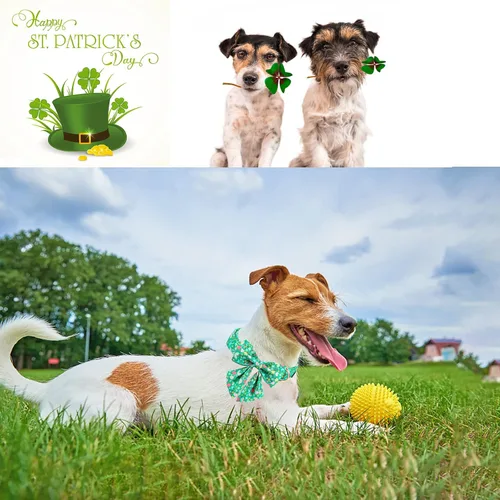 Vista 5 de Unique style paws Collar de perro del día de San Patricio con corbata, collar de cachorro de corazón de trébol de arco iris para niños pequeños