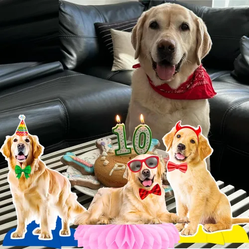 Vista 8 de Golden Retriever - Centros de mesa de panal de abeja para decoración de mesa de fiesta de perro, 12 piezas, decoraciones de fiesta de cumpleaños