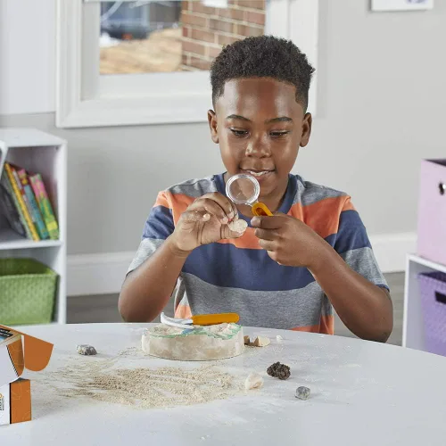 Vista 5 de hand2mind - Kit de excavación de fósiles para excavar y exhibir, vitrina de fósiles, 8 fósiles reales para descubrir, kits de excavación para niños