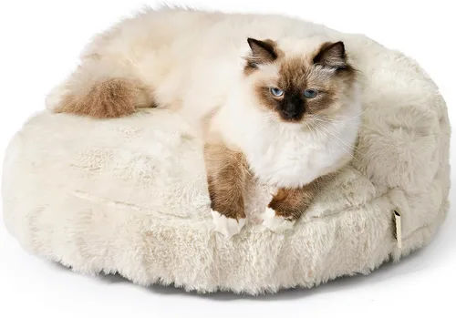 Vista 18 de EHEYCIGA Sofá cama suave para gatos de interior, cama extra pequeña esponjosa para perros con funda extraíble lavable, sofá para mascotas, Crema