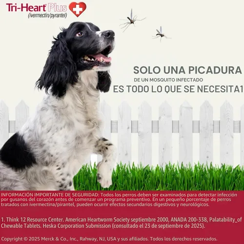 Vista 4 de TRI-HEART PLUS Tableta masticable para perros, 51-100 libras (caja marrón), 6 tabletas masticables, suministro para 6 meses